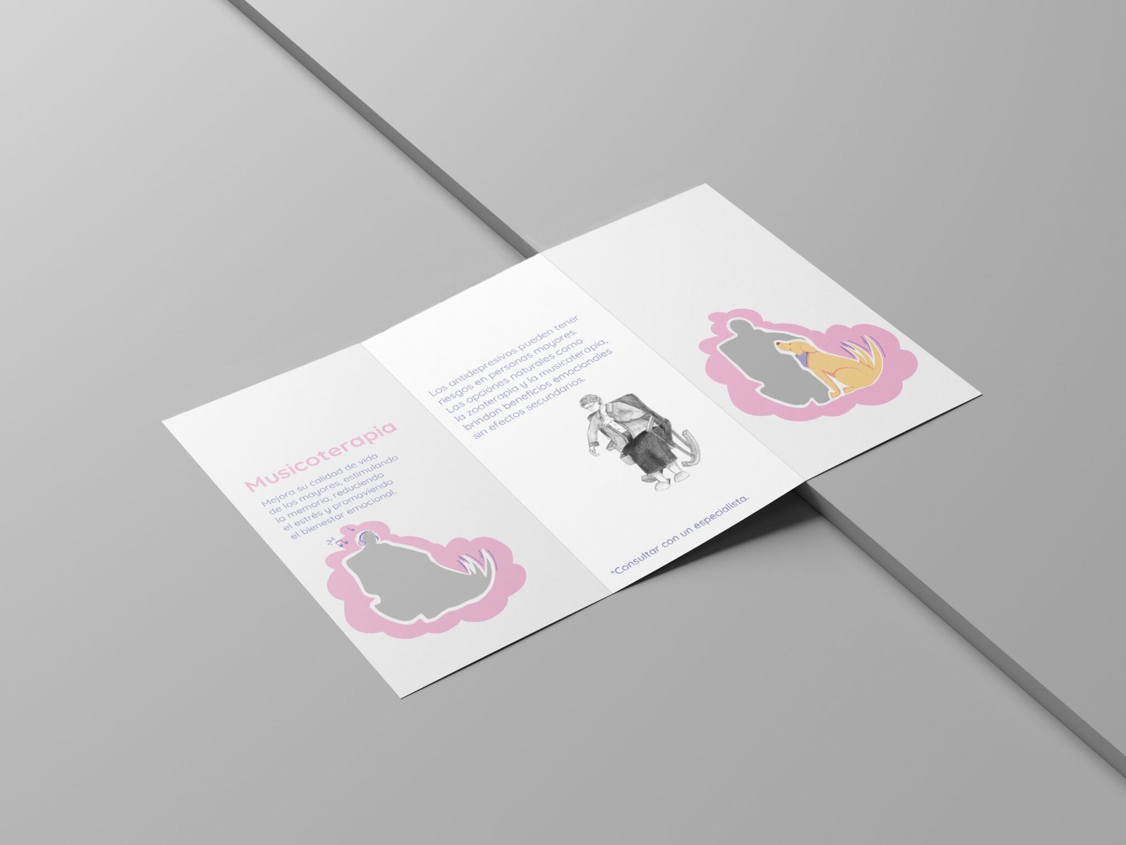 Folleto parte trasera